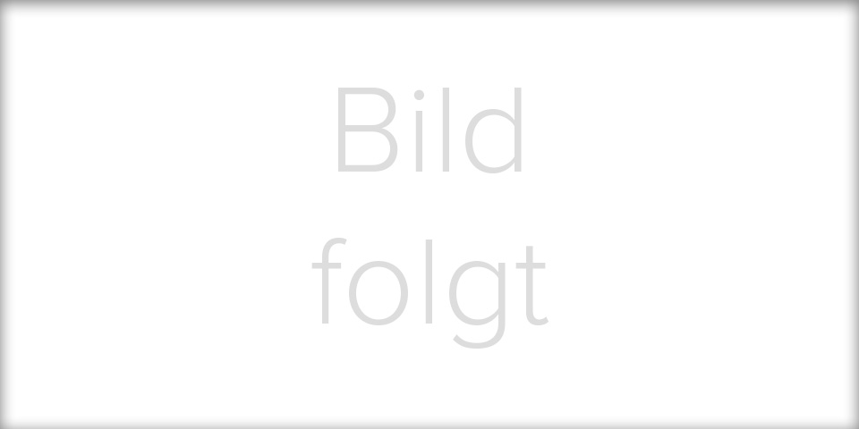 Mannschaftsbild